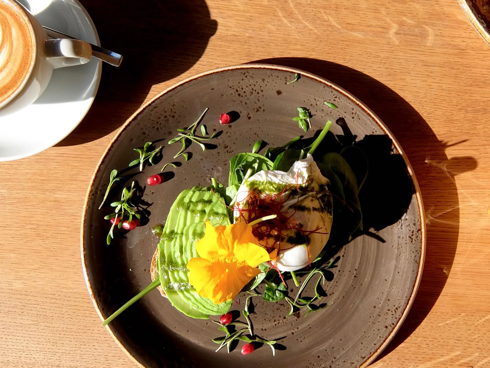 Avocado toast with a poached egg at Nord Coast Coffee Roastery in Hamburg