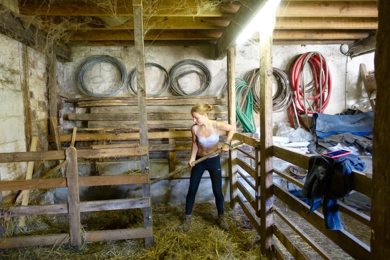 Cleaning Goat House, wwoofing in France
