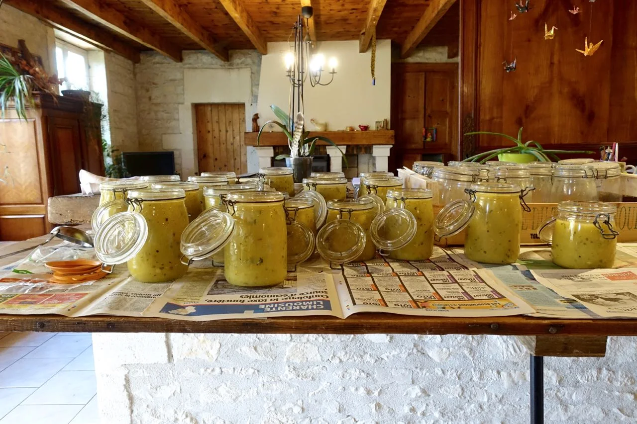 Photograph from My first experience Wwoofing in France