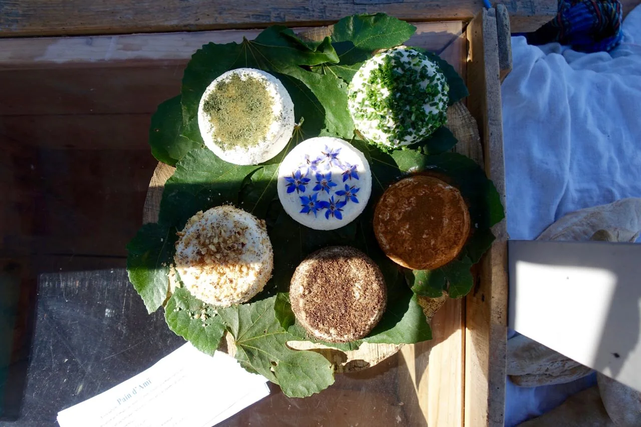 Photograph from My first experience Wwoofing in France