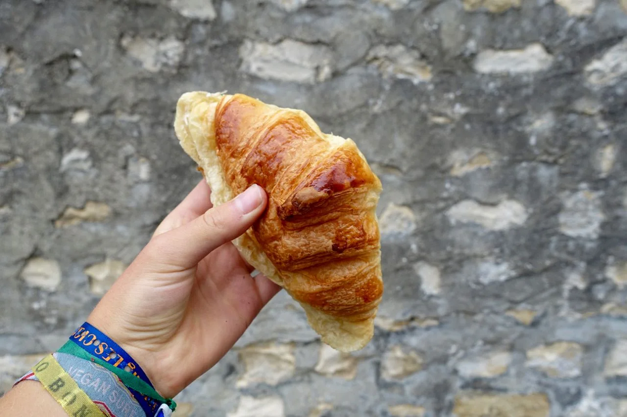 Photograph from My first experience Wwoofing in France