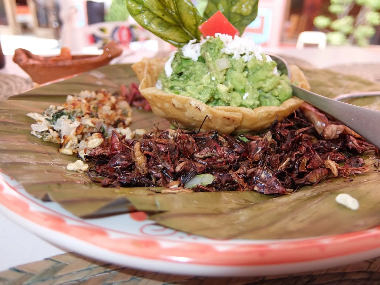 Photograph from My experience of real Mexican food