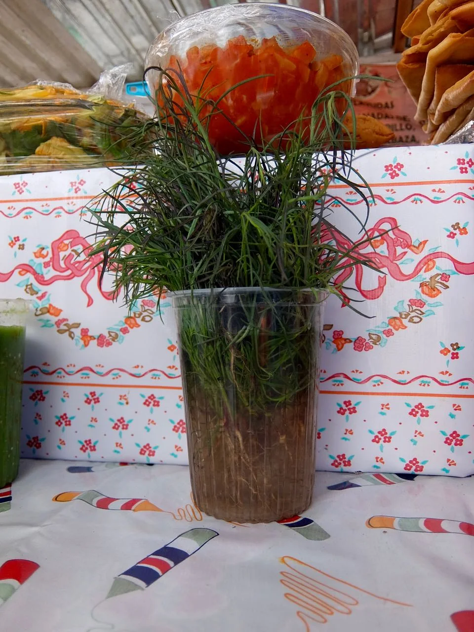 Photograph from My experience of real Mexican food