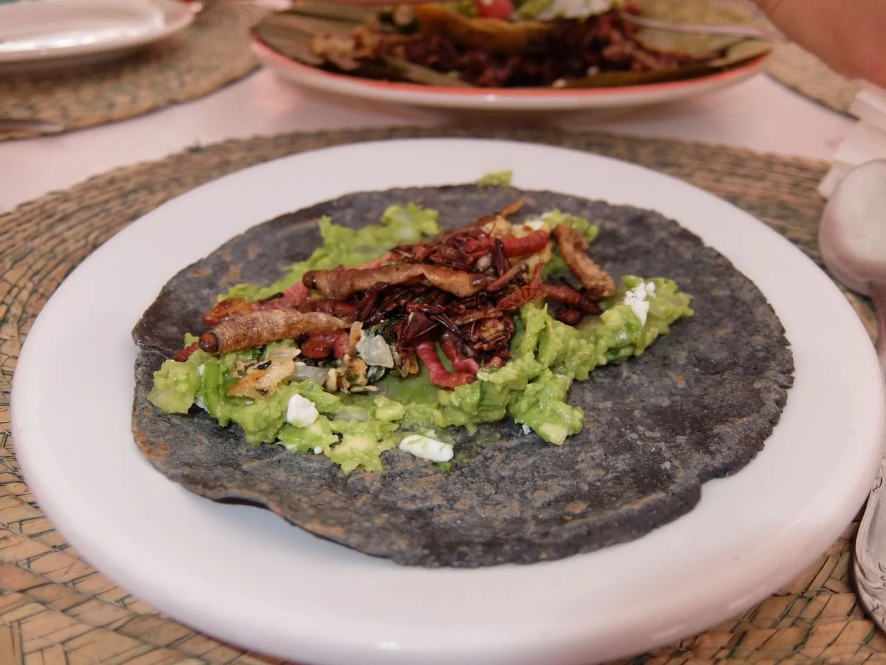 topped with gusanos, chapulines and escaroles (read more below, by "Insects")