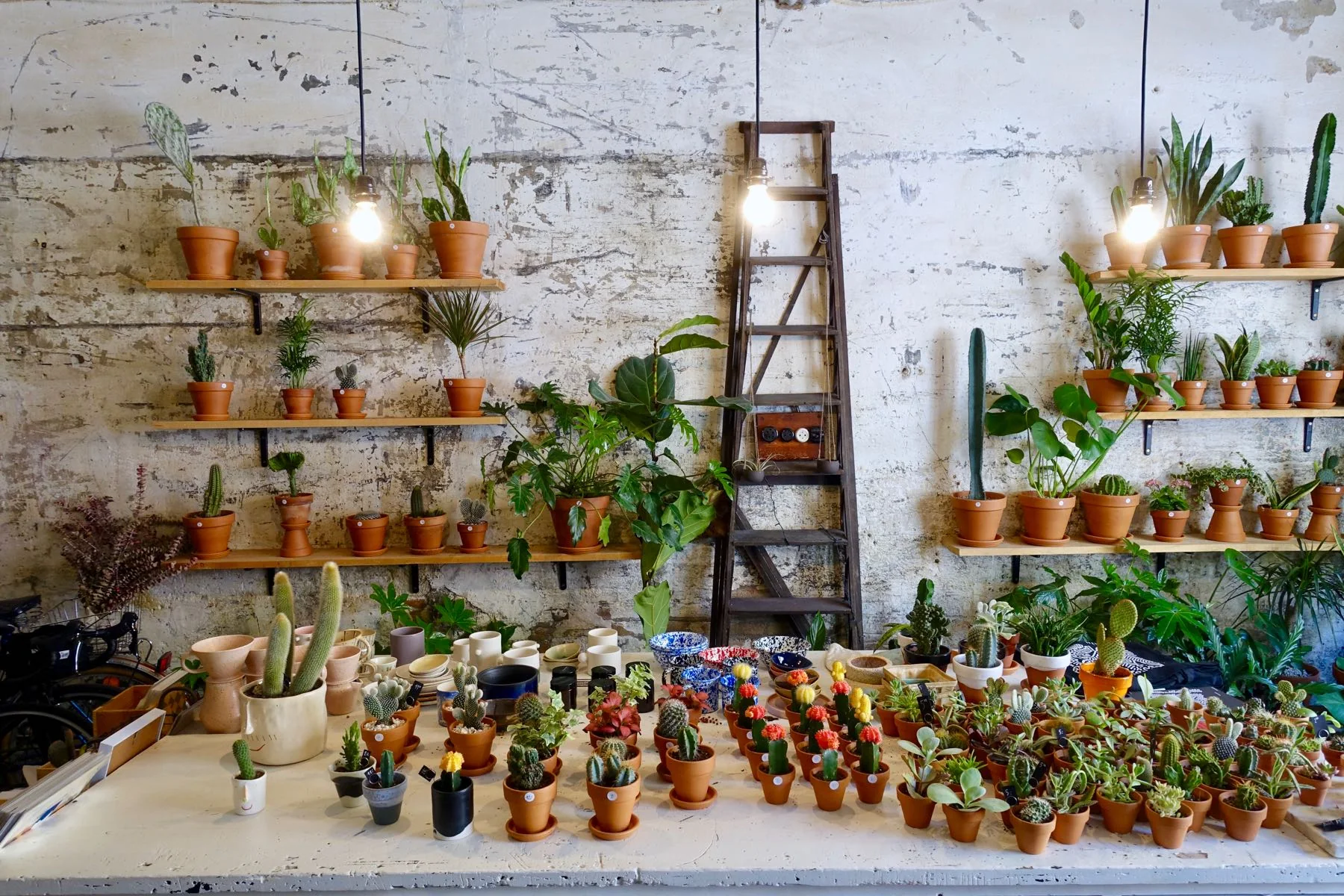 Espai Joliu Concept Store, Barcelona