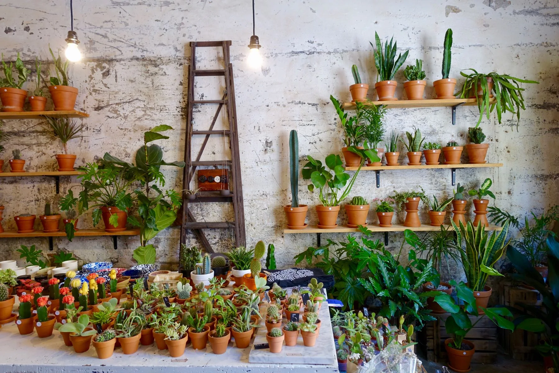 My Favorite Four Cafés in Barcelona