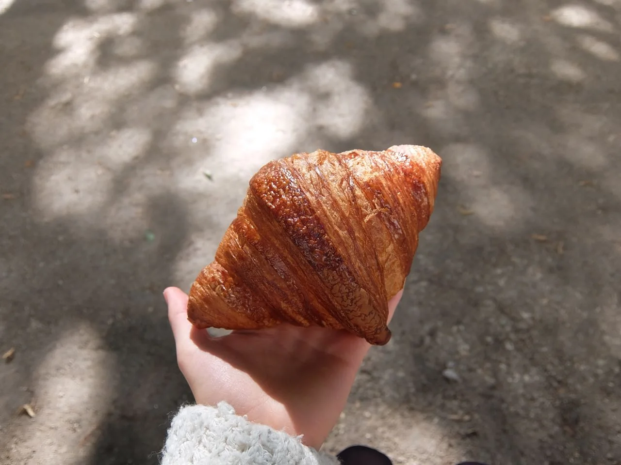 Photograph from Paris by Taste
