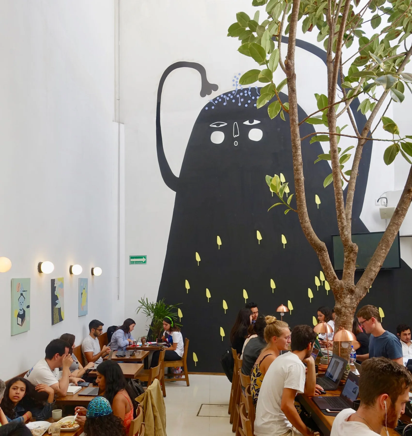 Photograph from Specialty Coffee Guide to Mexico City