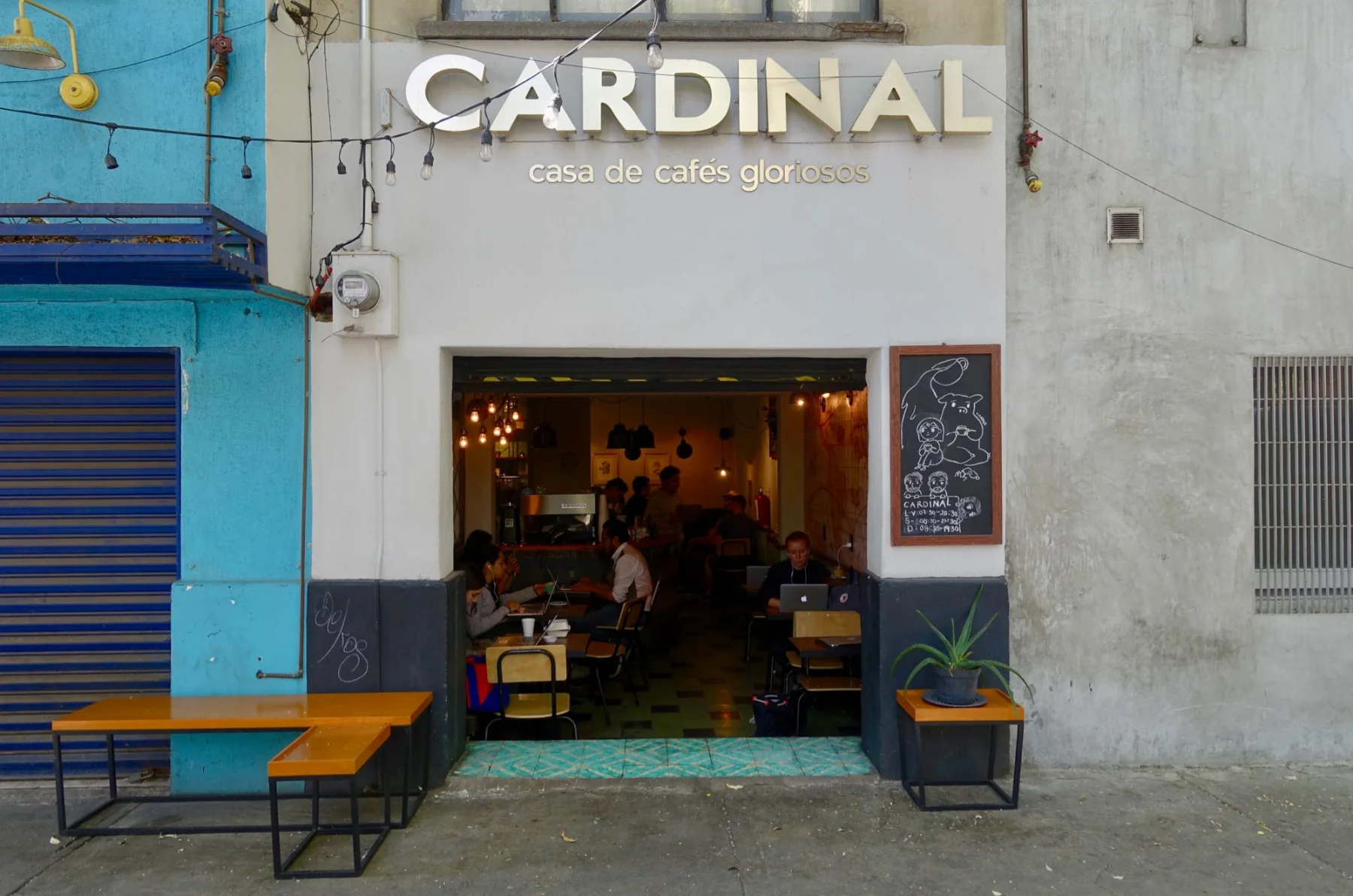 Photograph from Specialty Coffee Guide to Mexico City