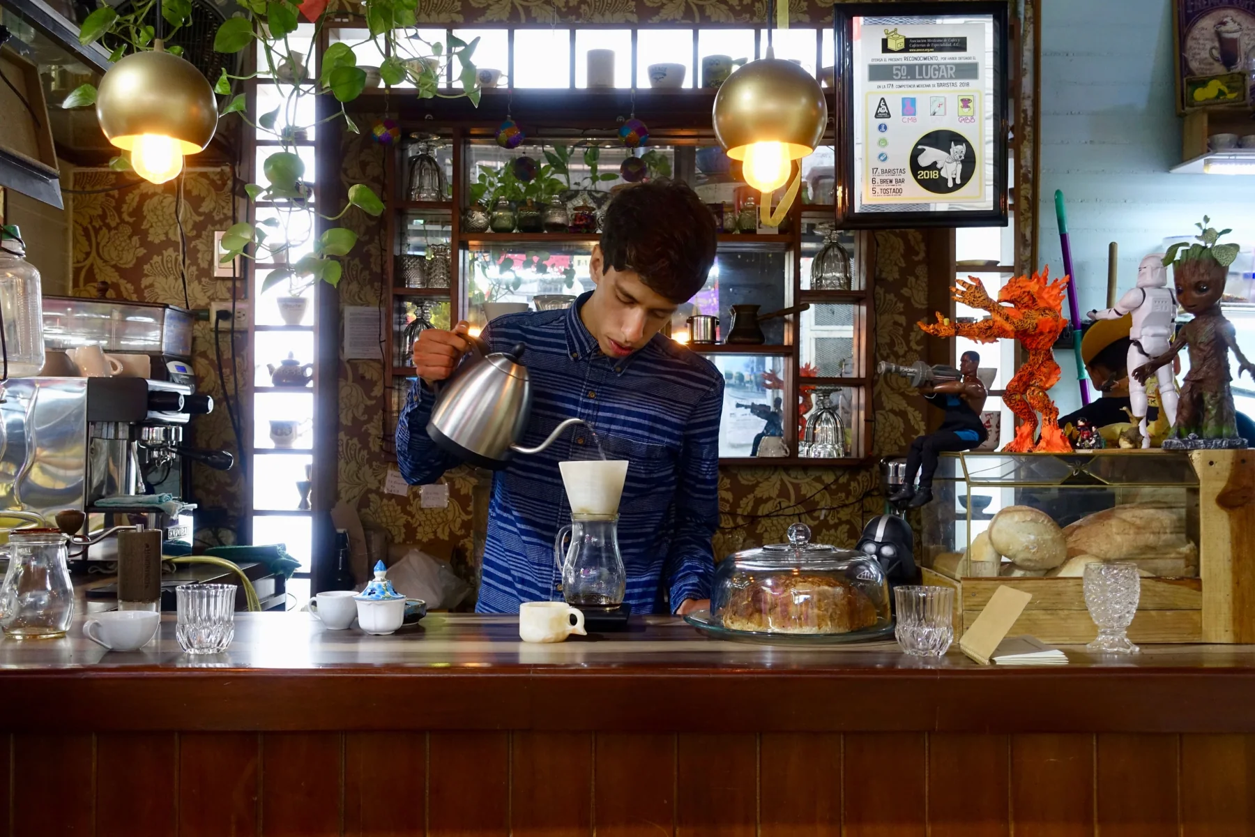 Specialty Coffee Guide to Mexico City