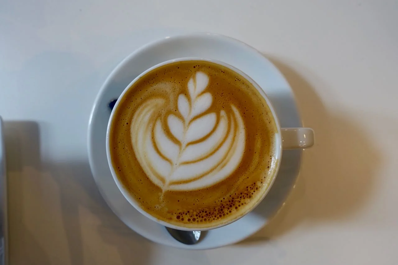 Flat White, La Pelle Café, Bordeaux Specialty Coffee Guide