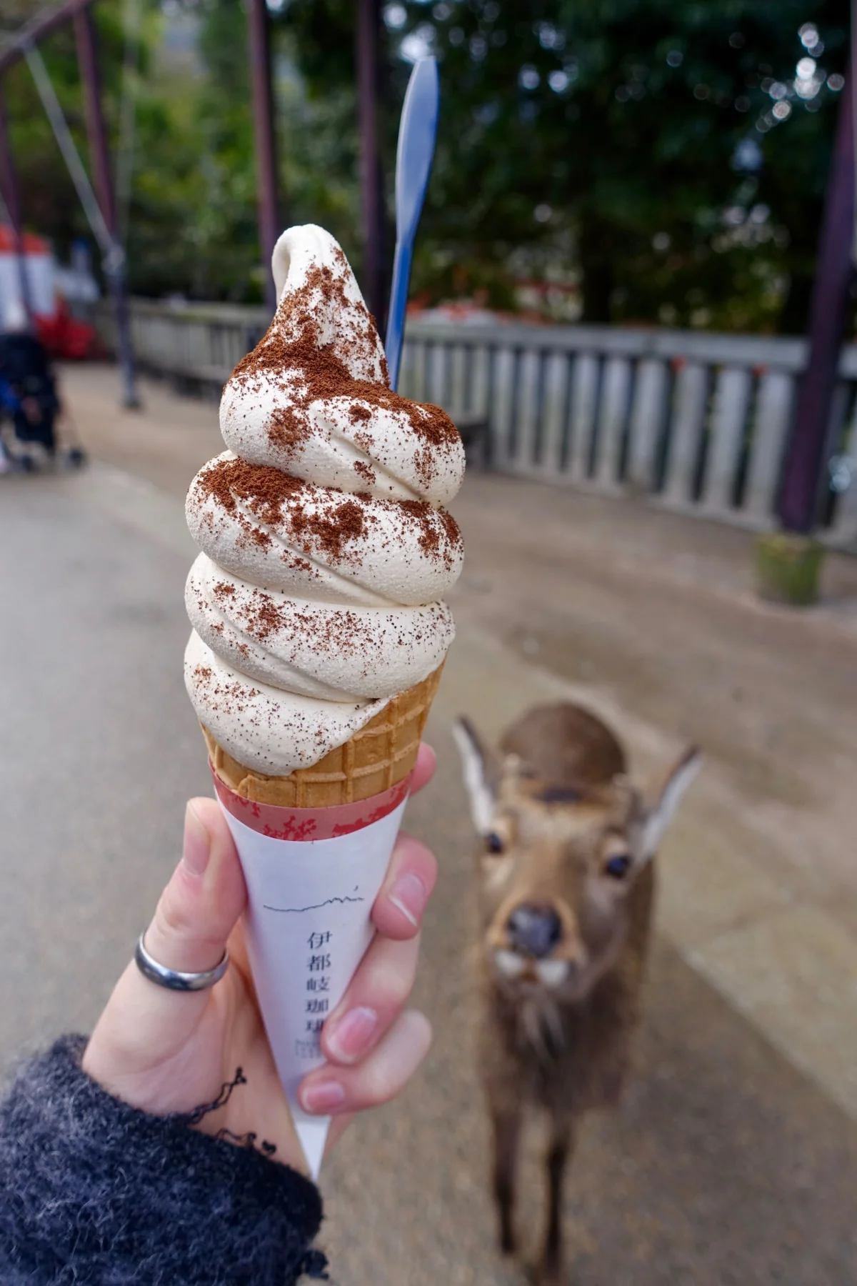 Itsuki Specialty Coffee Soft Ice Cream, Japan
