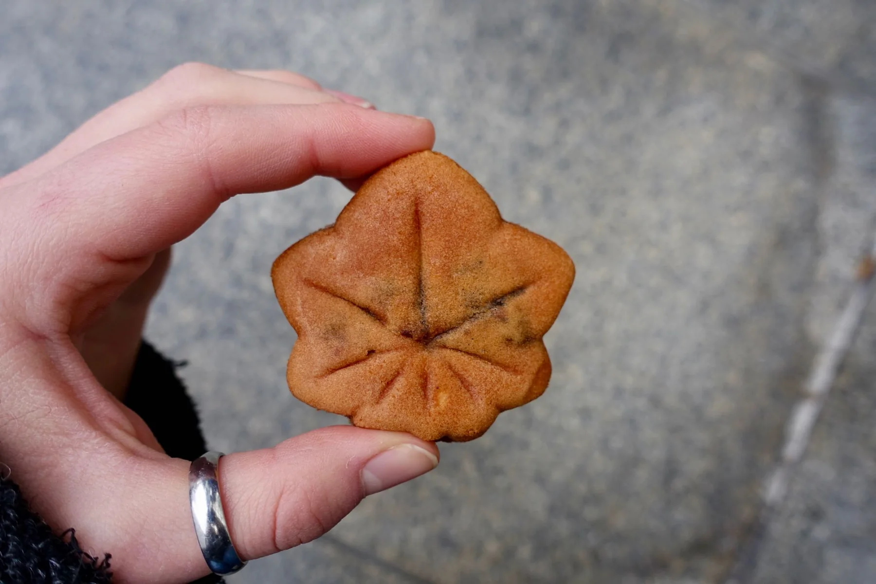 Photograph from What We Ate in Japan
