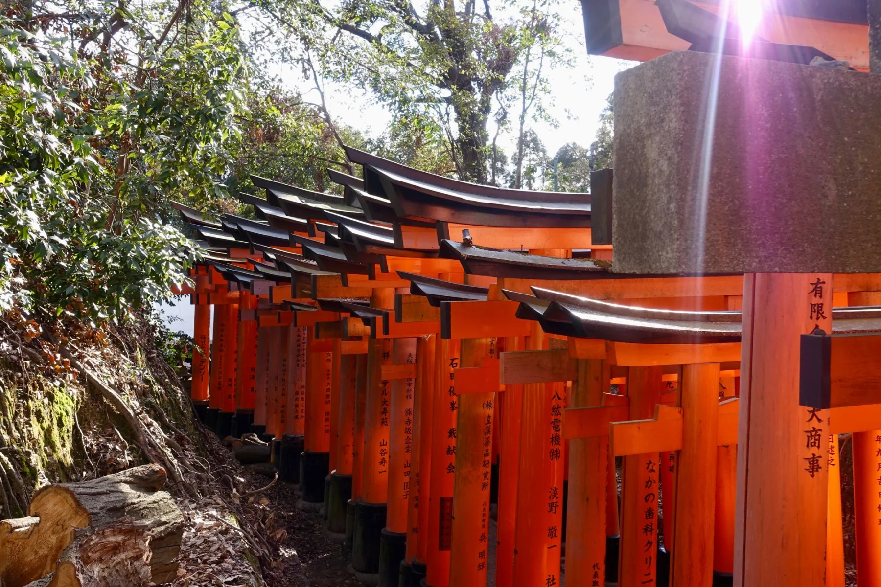 Temples, Kyoto